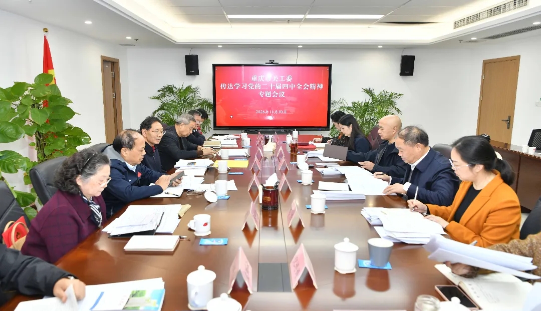 重庆市关工委召开专题会议传达学习党的二十届四中全会精神