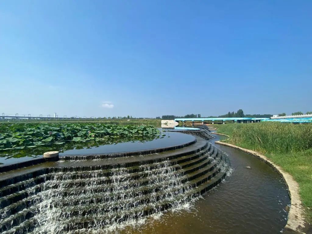 1703658929283880.jpg 640.jpg