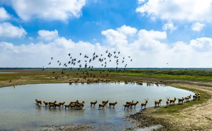 1761184926641314.jpg 20251023_095648_003.jpg