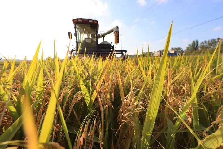 1761185159210884.jpg 20251023_095648_009.jpg