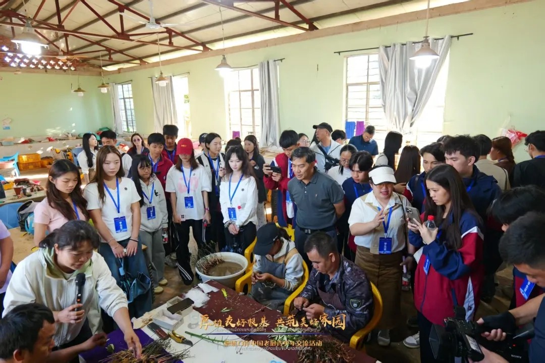 1763350333354061.jpg 20251117_112937_043.jpg