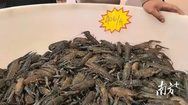 1764642357335619.jpg 20251202_102304_044.jpg