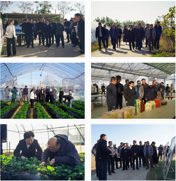 1764729188228849.png ScreenShot_2025-12-03_102635_302.png