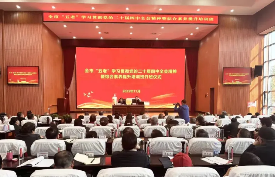 1765162970242548.jpg 1.jpg