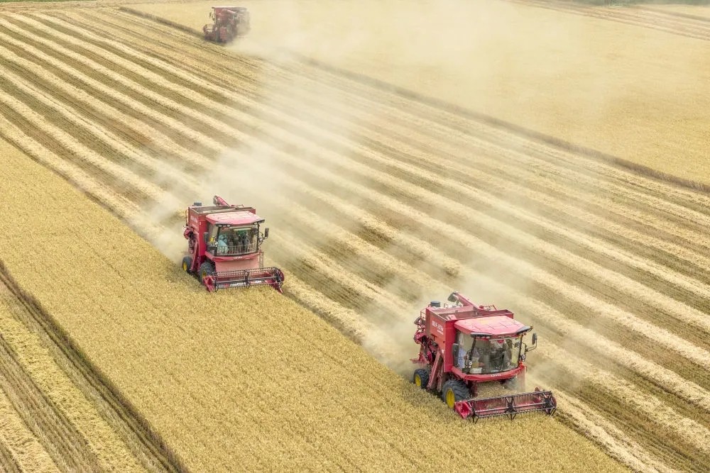 1765418670822771.jpg 20251211_095655_002.jpg