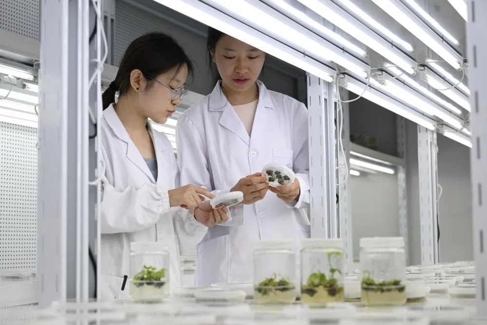 1765418743609885.jpg 20251211_095655_003.jpg