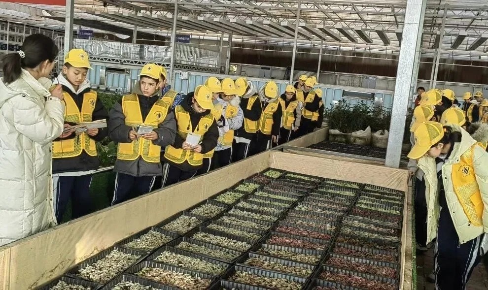 1769153391158984.jpg 20260123_152744_017.jpg