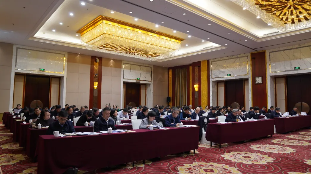 1773800012226521.jpg 2.jpg